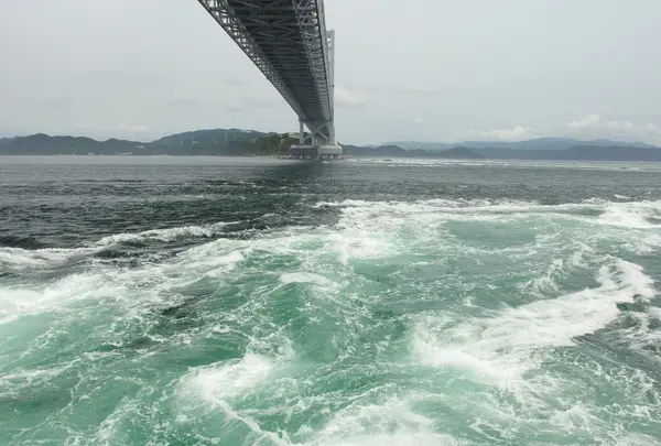 うずしお観潮船の写真・動画_image_253008