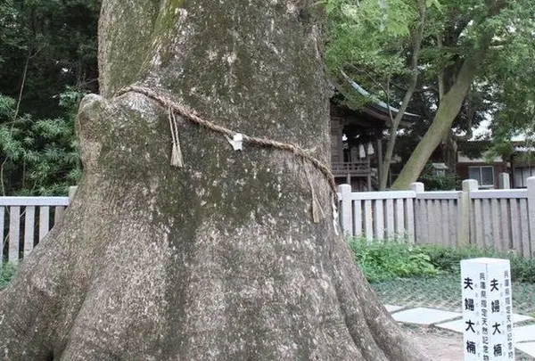 伊弉諾神宮