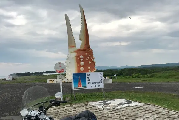 カニの爪