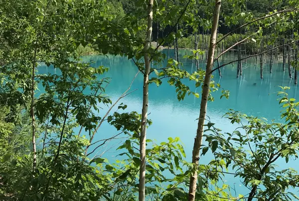 青い池