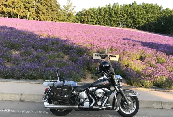 ファーム富田