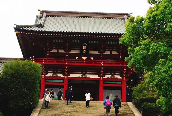 鶴岡八幡宮の写真・動画_image_253249