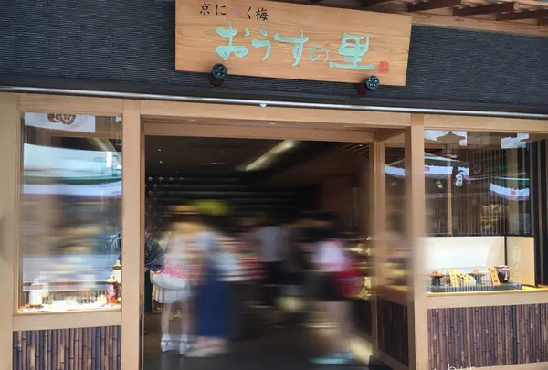 おうすの里 祇園本店の写真・動画_image_253263