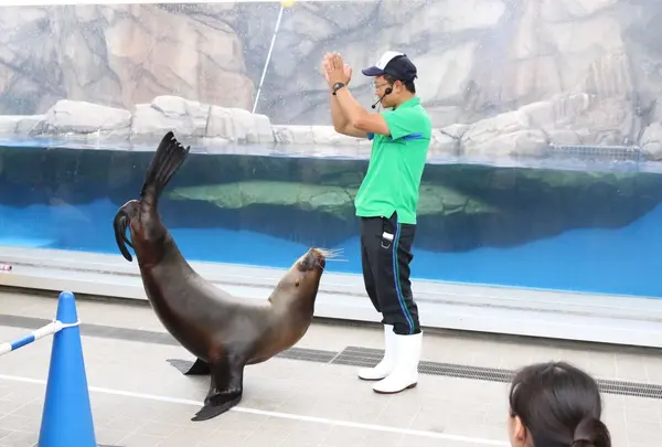 仙台うみの杜水族館の写真・動画_image_253512