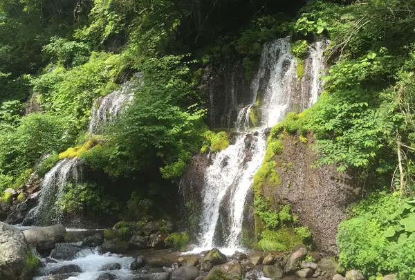 吐竜の滝