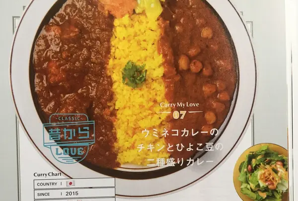 ウミネコカレーの写真・動画_image_254658