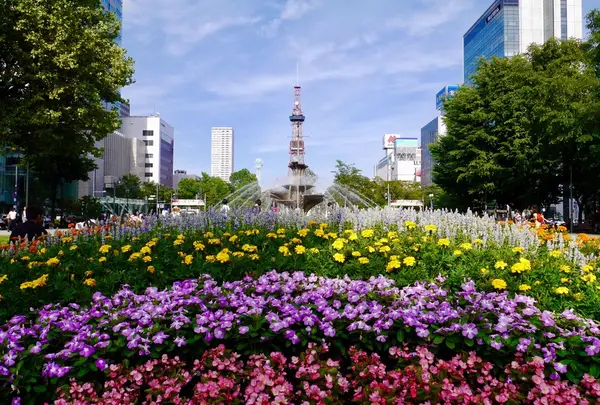 大通公園の写真・動画_image_255098