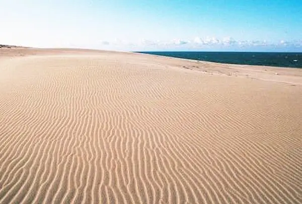 浜岡砂丘の写真・動画_image_255284