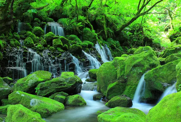 元滝伏流水