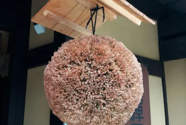 飛騨地酒蔵 本店