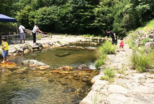 津谷渓流公園（渓流釣）