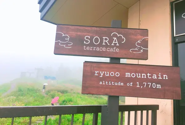 SORA terraceの写真・動画_image_258145
