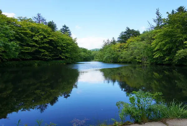 雲場池