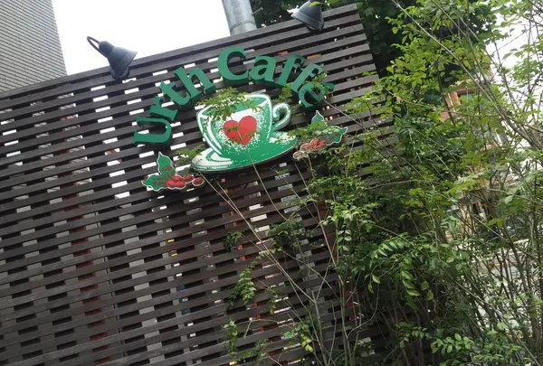 Urth Caffé 代官山店（アースカフェ）の写真・動画_image_259664