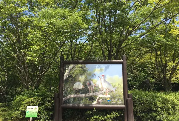 トキの森公園の写真・動画_image_259724