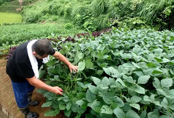 農家民宿 新助