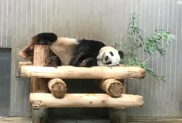 上野動物園