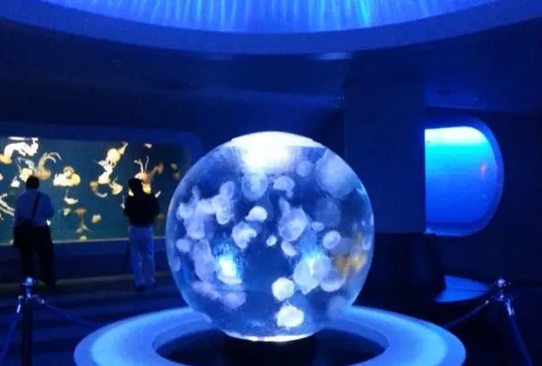 新江ノ島水族館
