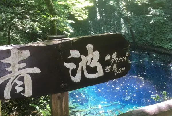 青池の写真・動画_image_261547