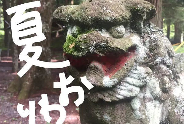 新大阪駅の写真・動画_image_261599