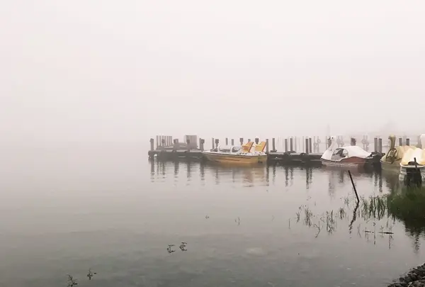 中禅寺湖の写真・動画_image_262299
