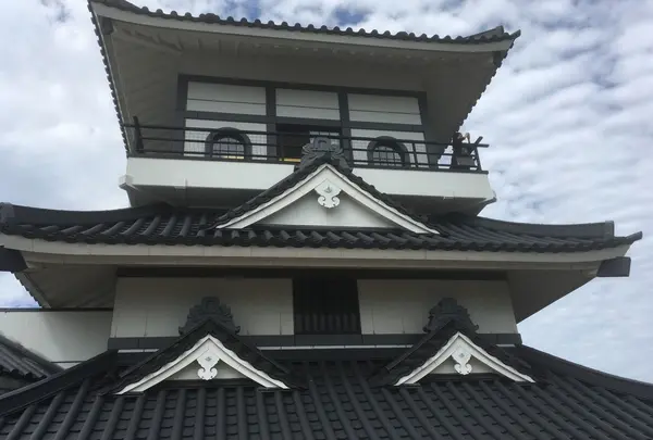 田んぼアートの写真・動画_image_262574