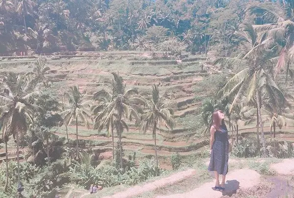 Tegallalang