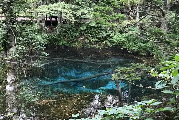 神の子池