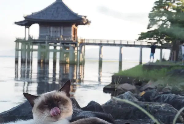 浮御堂