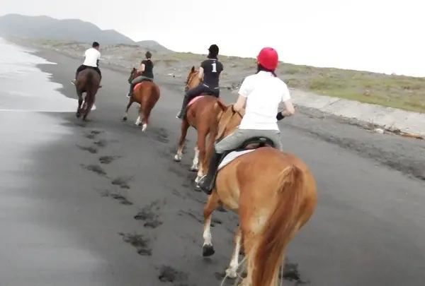 【閉業】ホーストレッキングパーク館山の写真・動画_image_263927
