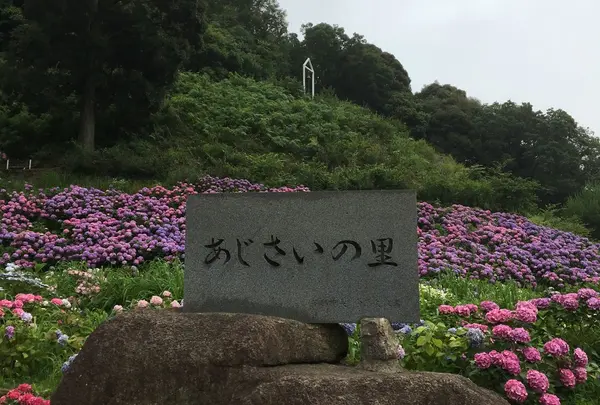 形原温泉あじさいの里