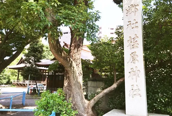荏原神社の写真・動画_image_265052