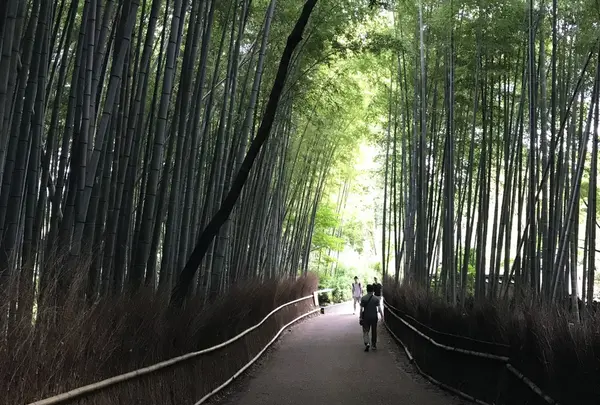 竹林の小径
