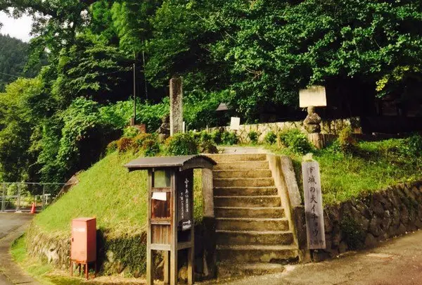 Shimojyo-no-dai-Icho 下城の大イチョウ