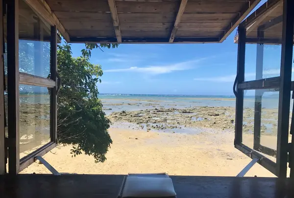 浜辺の茶屋の写真・動画_image_266281