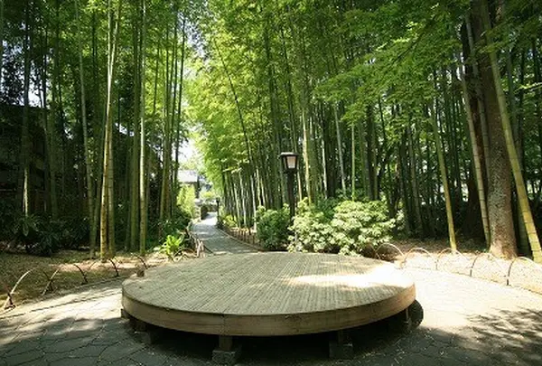 竹林の小径