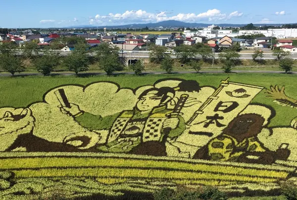 田んぼアート