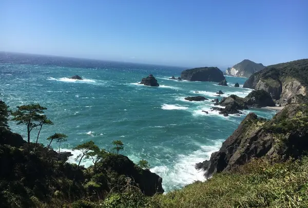 あいあい岬の写真・動画_image_267818