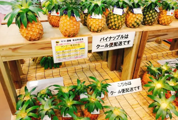 島の駅みやこ