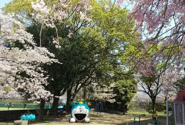 水俣市役所 総合体育館