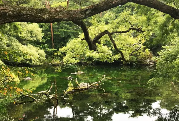 五色沼