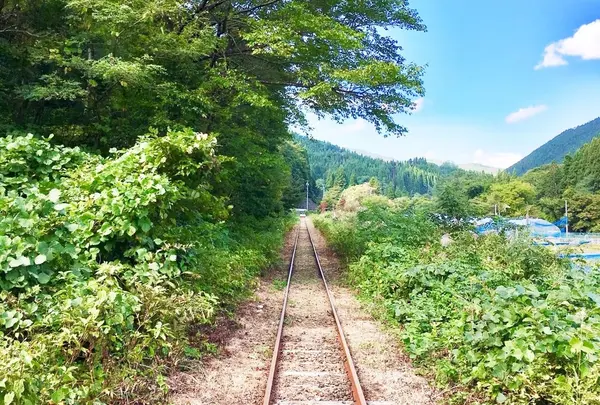 大館・小坂鉄道レールバイク（ＮＰＯ法人）