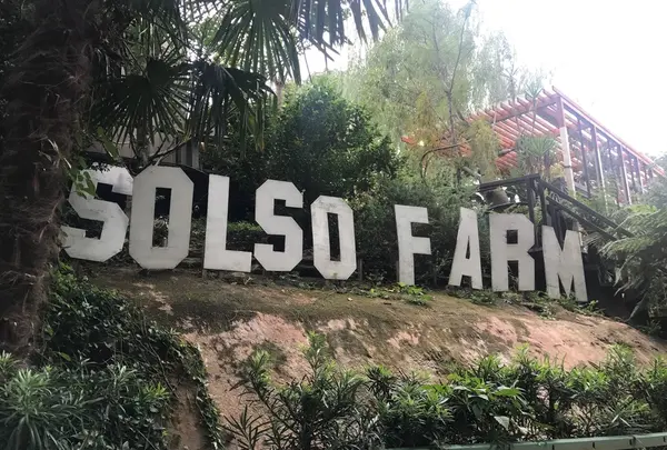 Solso Farm
