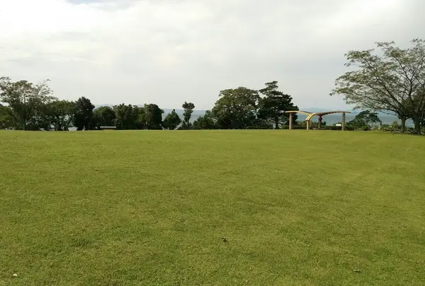 学びの丘