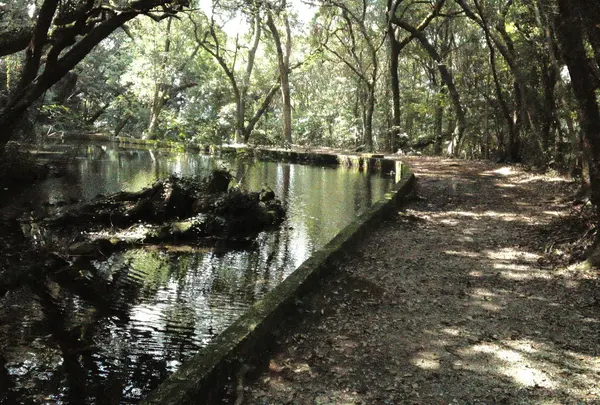 冷水の池