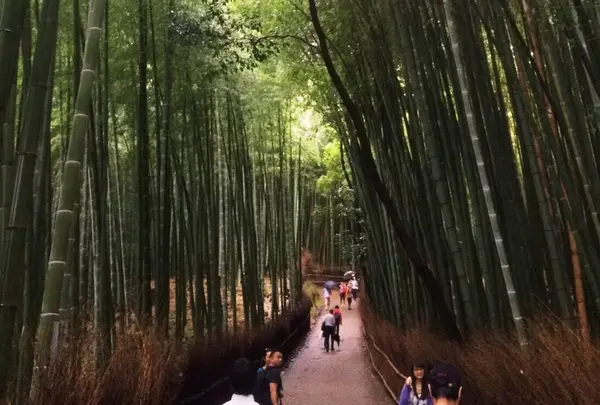 嵐山