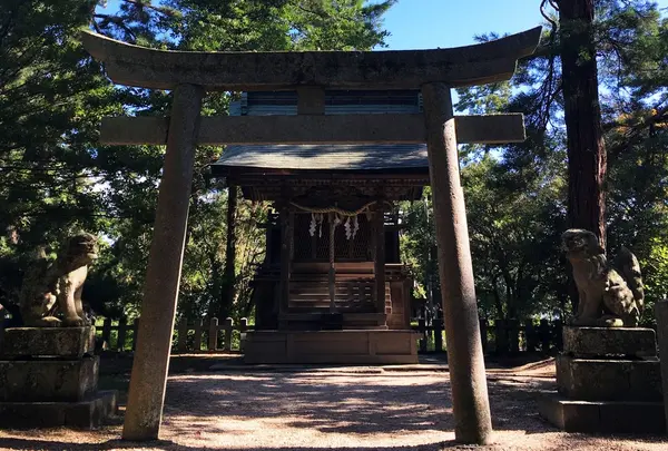 天橋立神社の写真・動画_image_272164