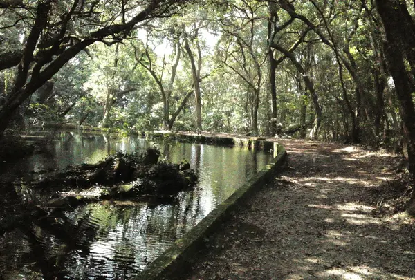 冷水の池