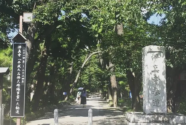 浄真寺の写真・動画_image_272889