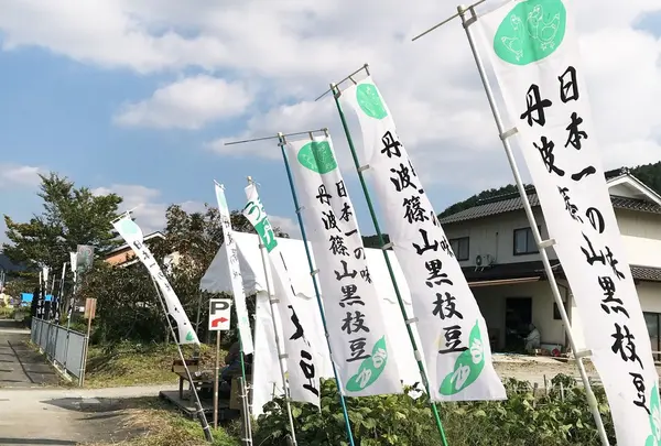 八上上の写真・動画_image_273065